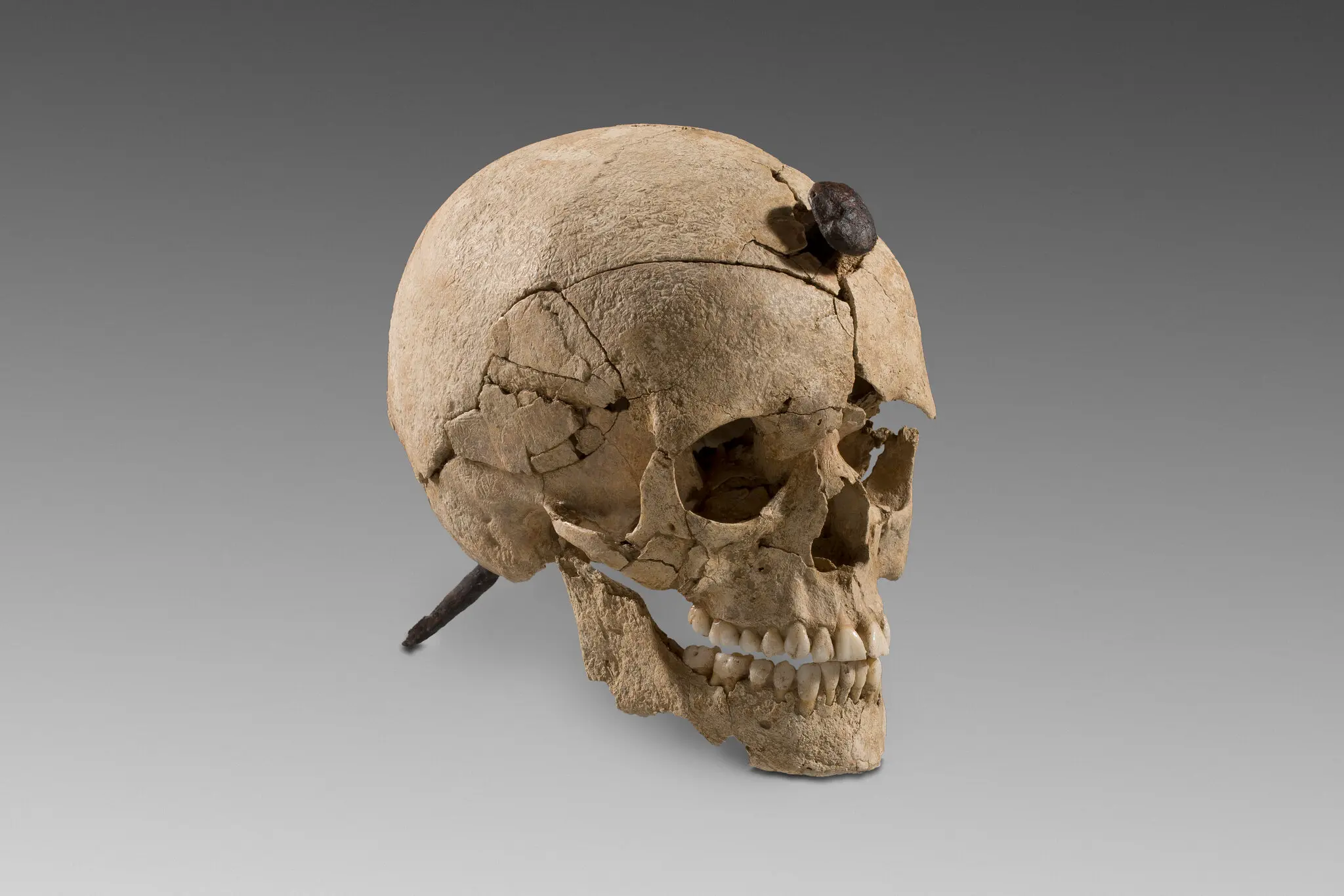 Цвях крізь череп: що насправді означали «голови-трофеї» Іберії залізної доби